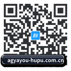HarmonyOS 客户端 二维码